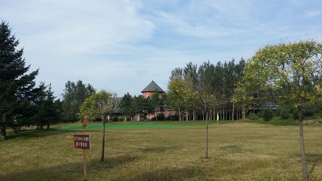 伏爾加莊園