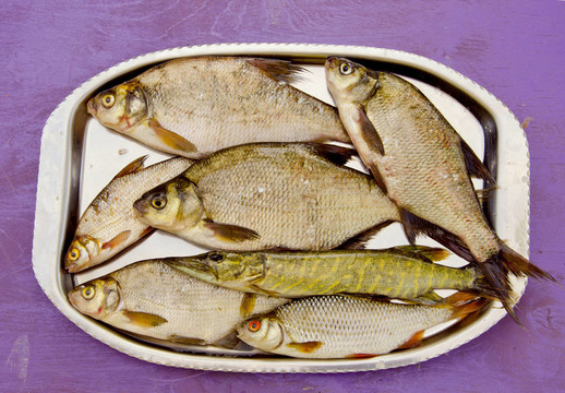 釣魚后托盤中的新鮮魚