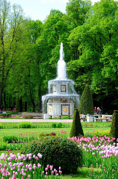 在Petergof公園的噴泉。羅馬噴泉