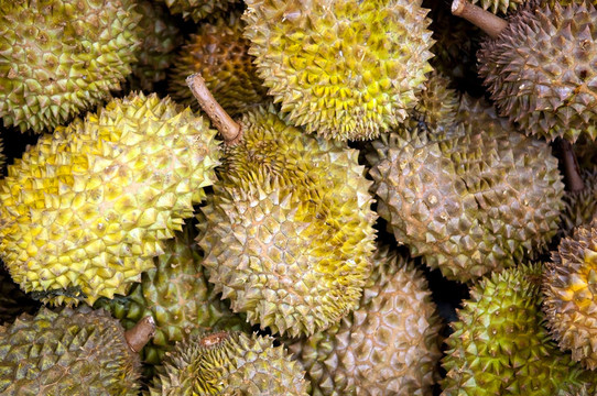杰克水果