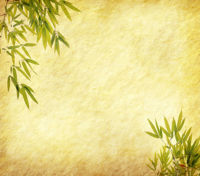 具有手工紙紋理的中國竹子設(shè)計(jì)