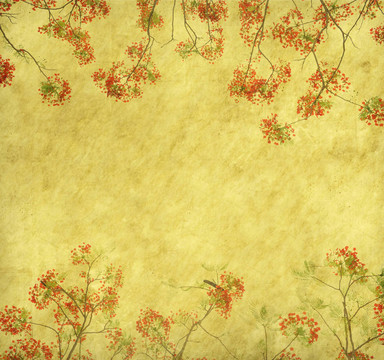 孔雀花與古老的古董紙背景樹(shù)