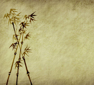 竹子樹枝剪影