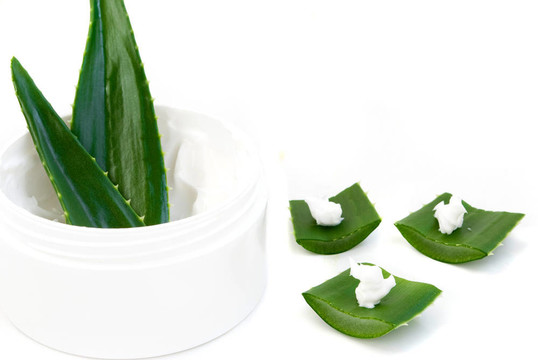 蘆薈葉和奶油