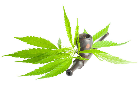 大麻