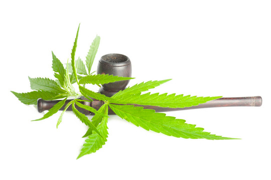 大麻