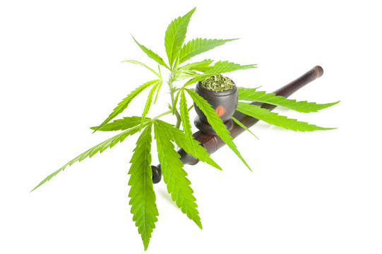 大麻