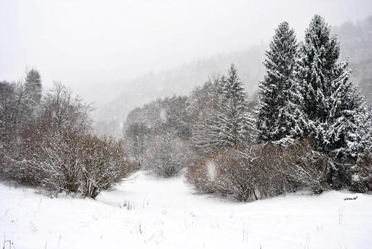 下雪