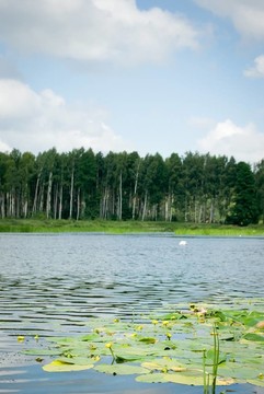 湖