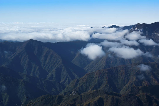 神農(nóng)架山景觀