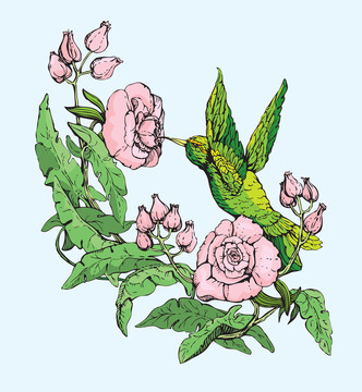 蜂鳥和花。