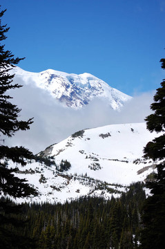 山和森林
