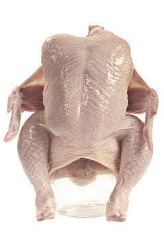 生雞肉