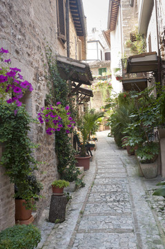 Spello；舊街