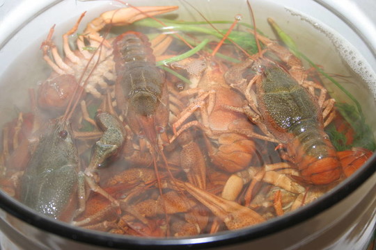 生物食品
