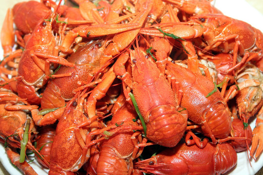 生物食品
