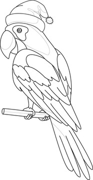 Parrot Santa Claus；輪廓