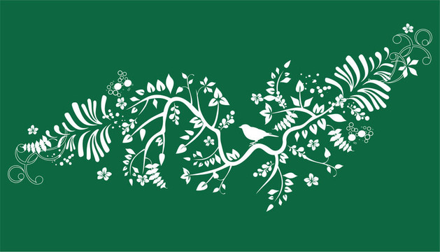 華麗背景與鳥(niǎo)類(lèi)