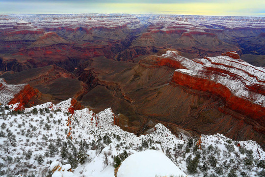 大峽谷森林的暴風雪；AZ