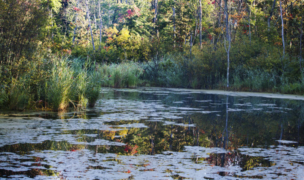 lake-reflections