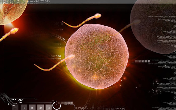 精子