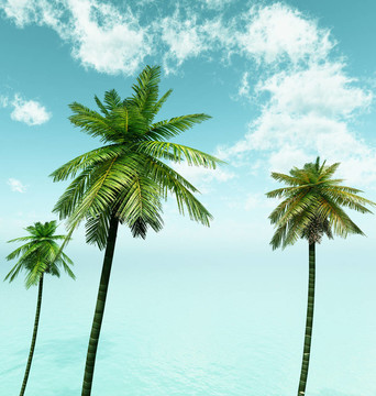 美麗的海景