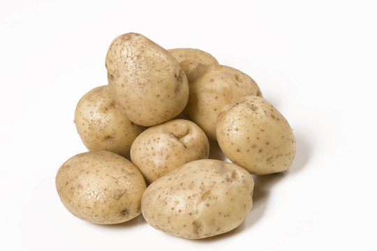 有機(jī)食品；新土豆