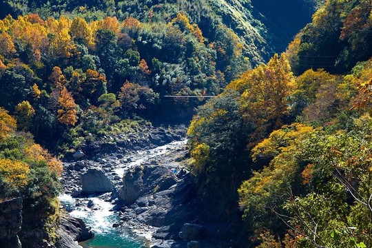 帶紅黃葉的山