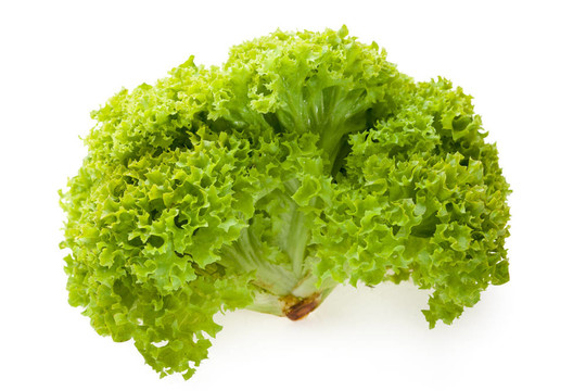 生菜