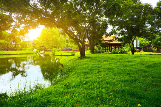 公園