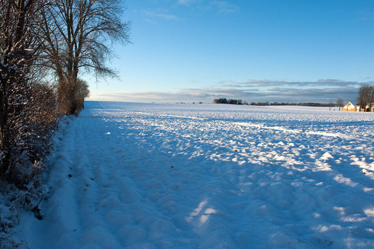 田野上神奇的冬日雪景