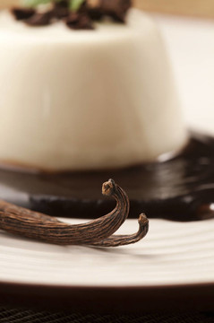 Panna Cotta用巧克力和香草豆