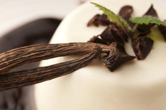 Panna Cotta用巧克力和香草豆