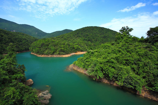 在森林湖