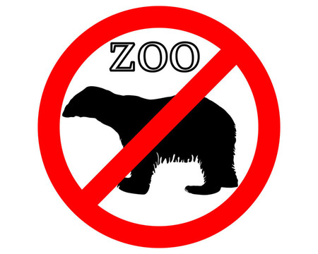 禁止在動物園里的北極熊