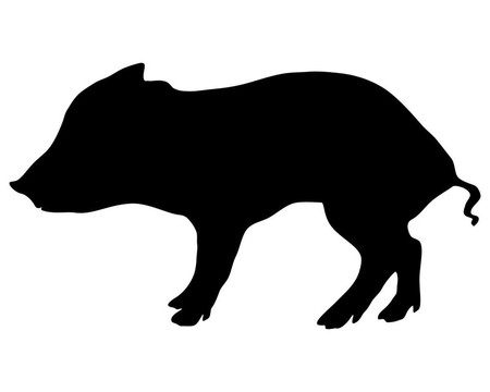 小野豬