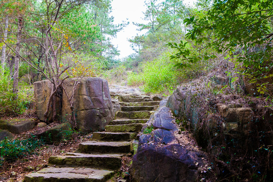 登山路 登山道
