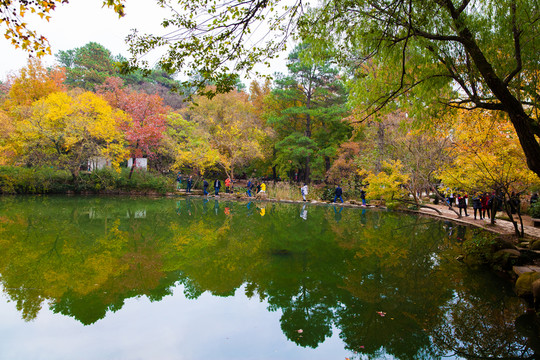 天平山 賞紅葉 秋色 秋天