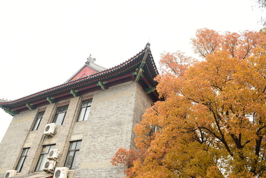 北大教學(xué)樓