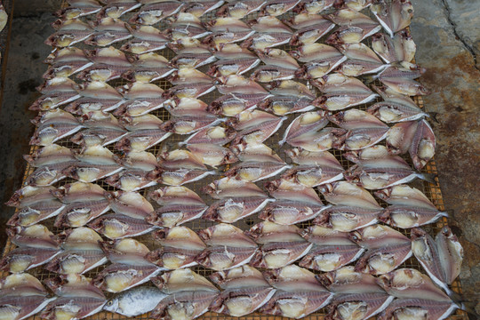曬魚干