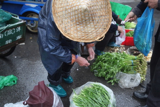 南潯