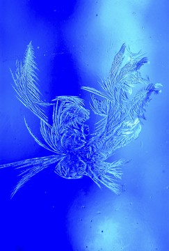 冰霜窗花