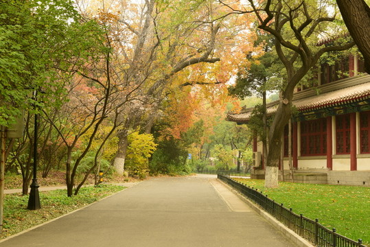 秋色 小路