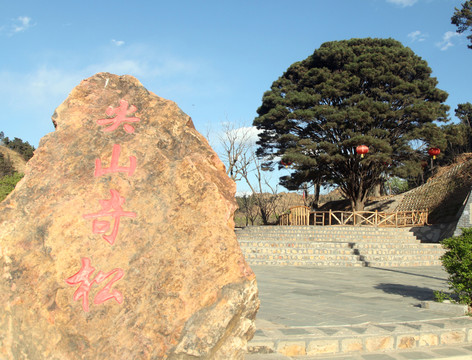 尖山奇松