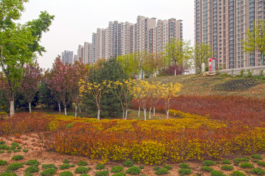 遷西灤河公園