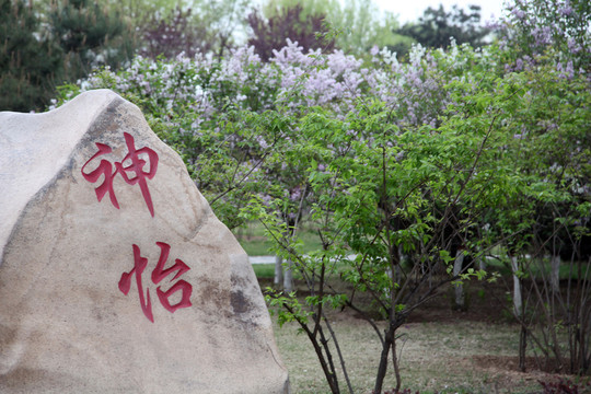 遷西灤河公園