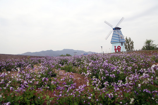 遷西灤河公園