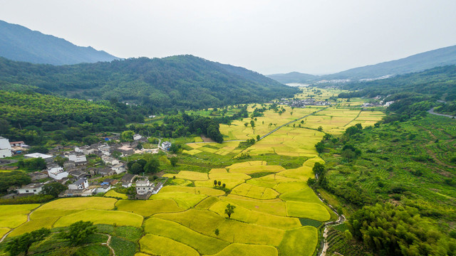 徽州農(nóng)田航拍