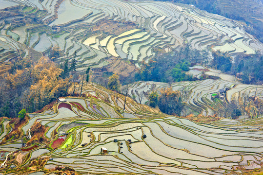 梯田風(fēng)光