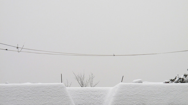 雪景
